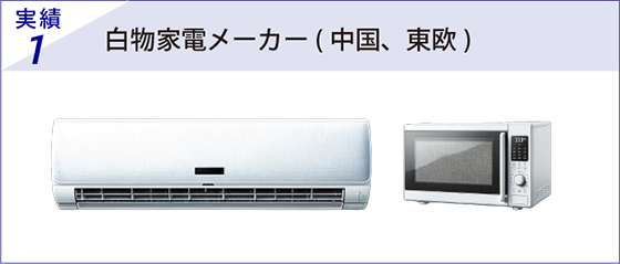 実績1 白物家電メーカー( 中国、東欧)